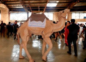 Sculpture chameau en résine et de fibre de verre