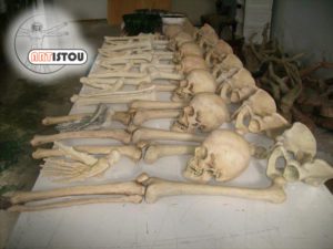 PLV événementielle 1