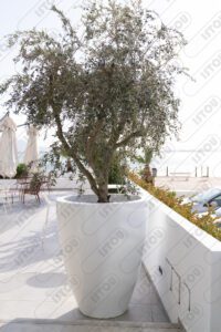 grand Pot Blanche a forme conique élégante et moderne.